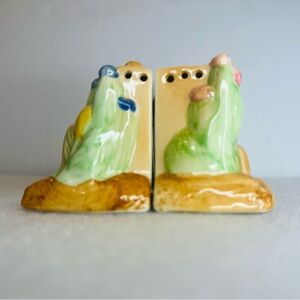 Adobe Pueblo House Salt & Pepper Shakers Southwestern Cottage Cactus Aztec